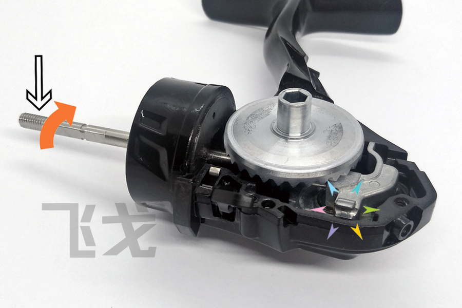 DAIWA LEGALIS 21ΰװ
